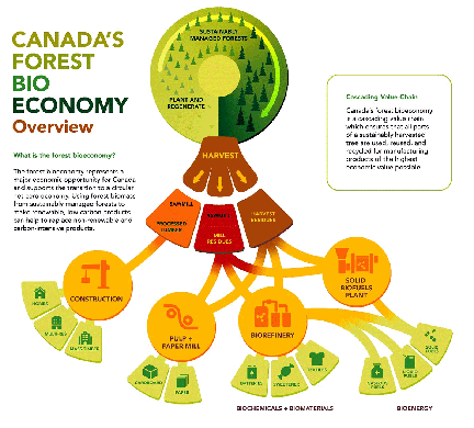 Canada Forest Bioeconomy